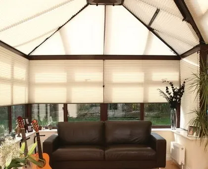 Pleated blinds that controls heat
